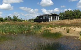 Axelgaard Nature Suite